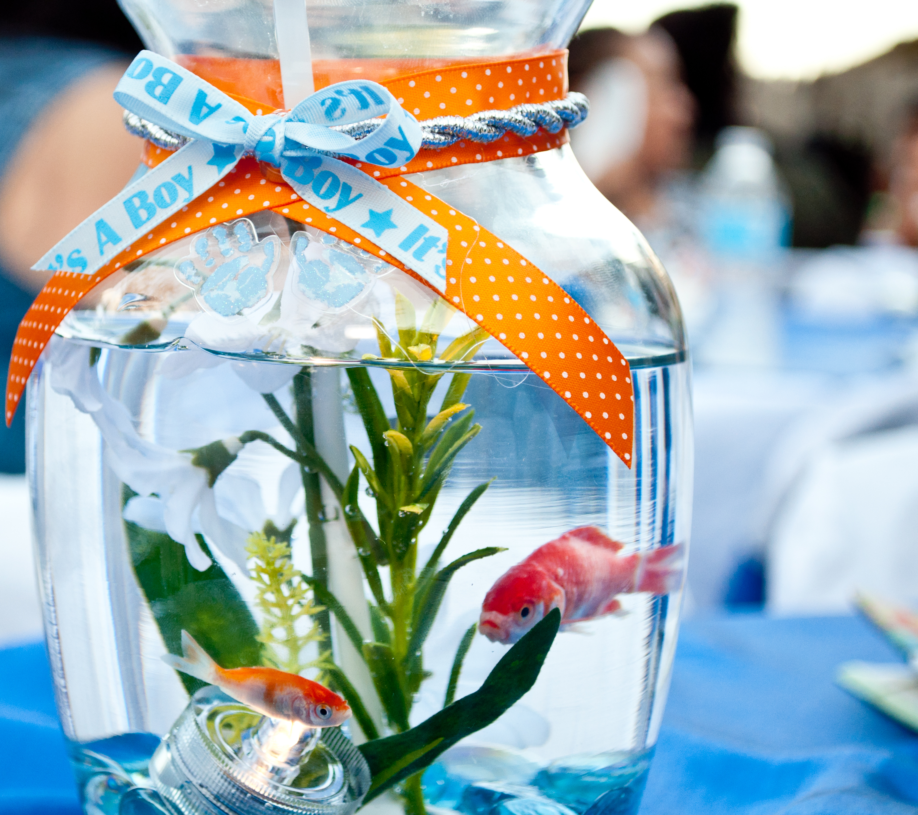 Finding Nemo Theme Games Baby Shower Games Baby Shower Games -    Finding nemo baby shower, Modern baby shower games, Nemo baby shower